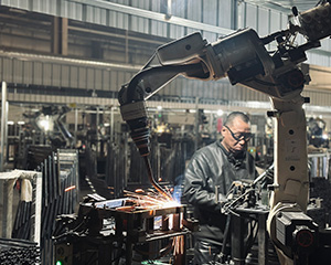 Multiple production lines